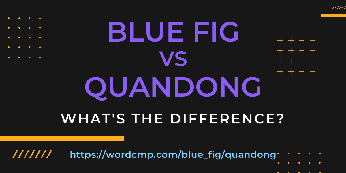 Difference between blue fig and quandong