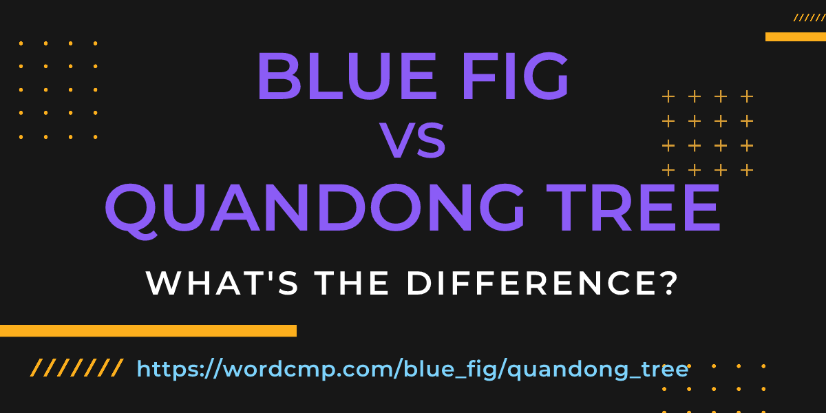 Difference between blue fig and quandong tree