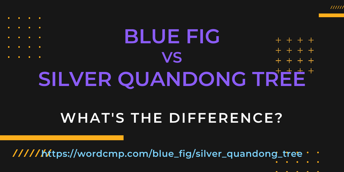 Difference between blue fig and silver quandong tree