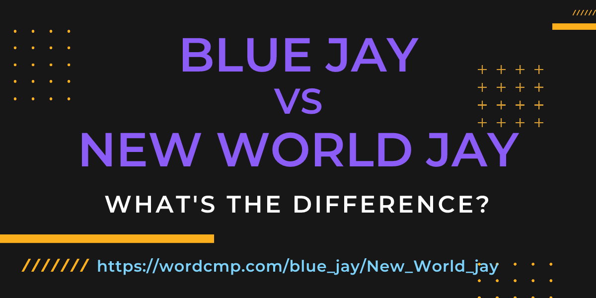 Difference between blue jay and New World jay