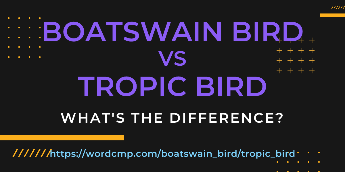 Difference between boatswain bird and tropic bird