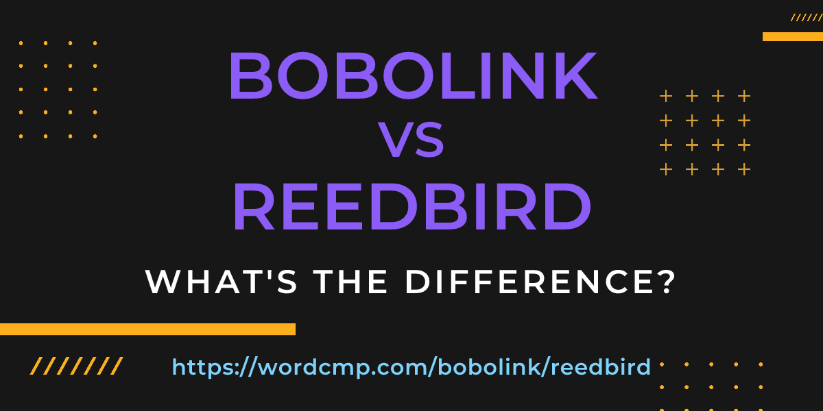 Difference between bobolink and reedbird
