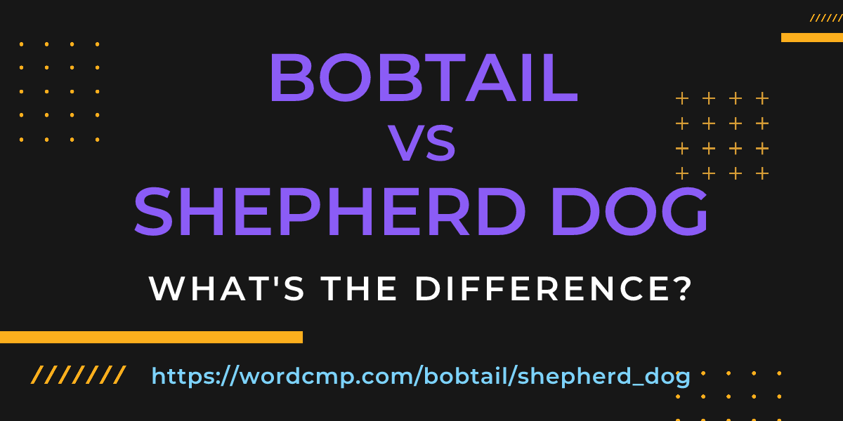 Difference between bobtail and shepherd dog
