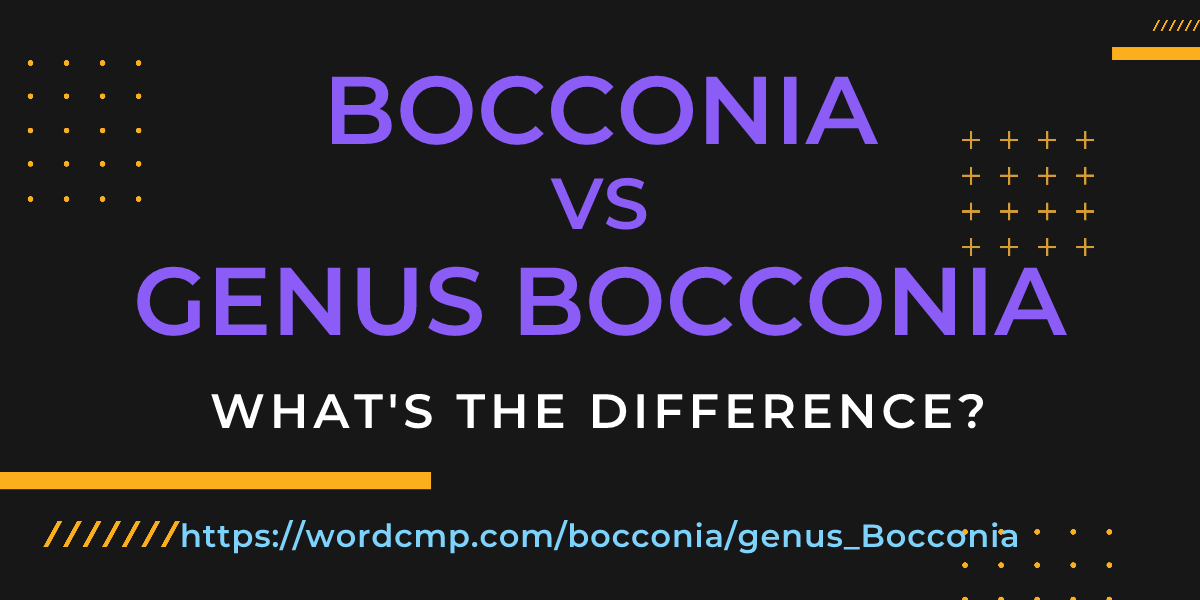 Difference between bocconia and genus Bocconia