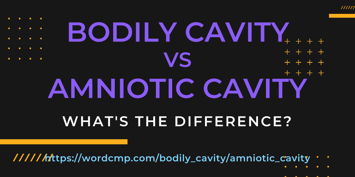 Difference between bodily cavity and amniotic cavity