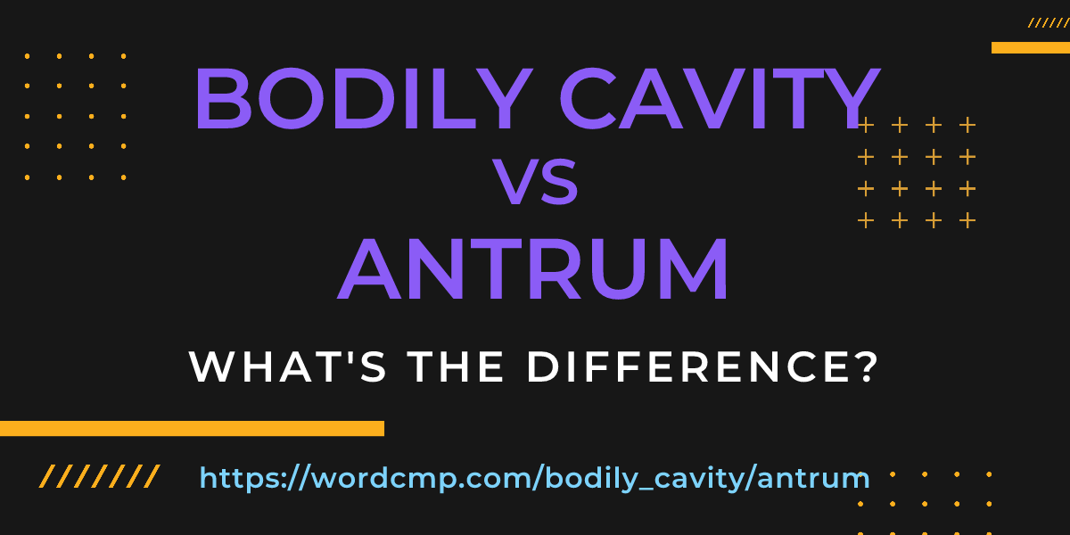 Difference between bodily cavity and antrum