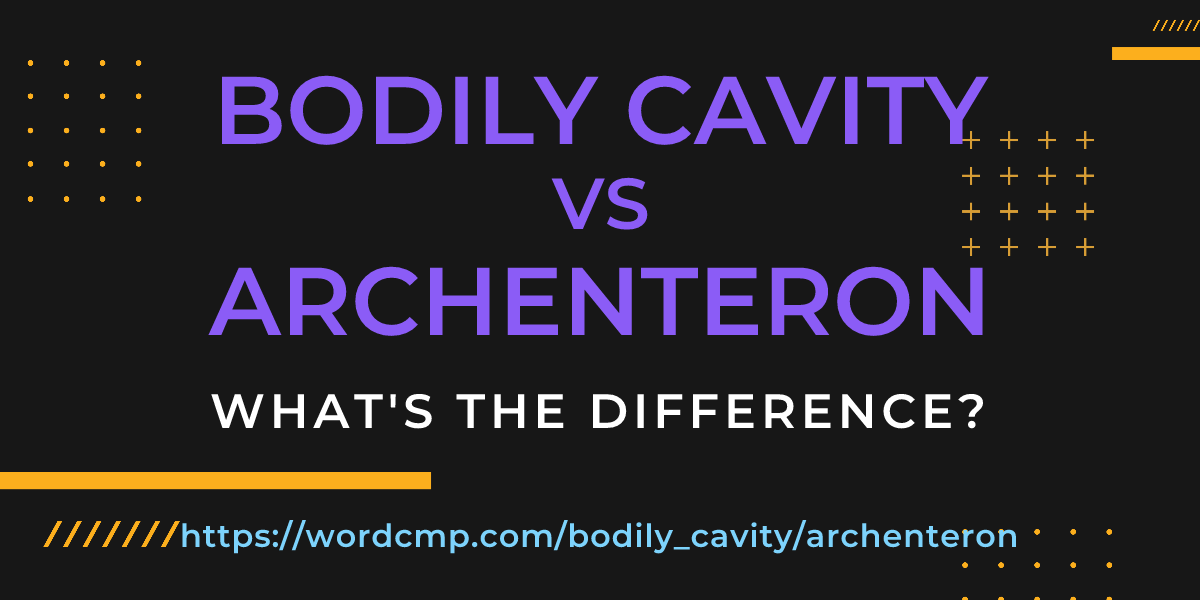 Difference between bodily cavity and archenteron