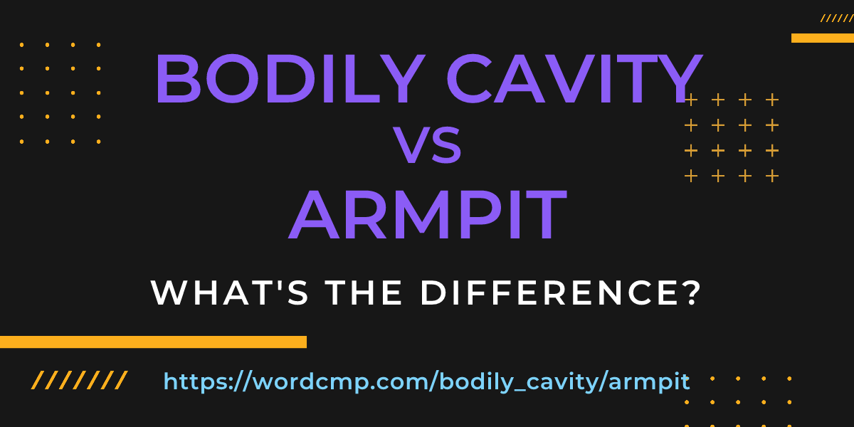 Difference between bodily cavity and armpit