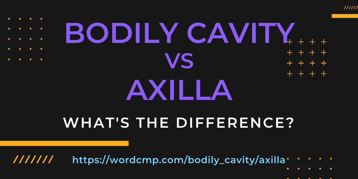 Difference between bodily cavity and axilla