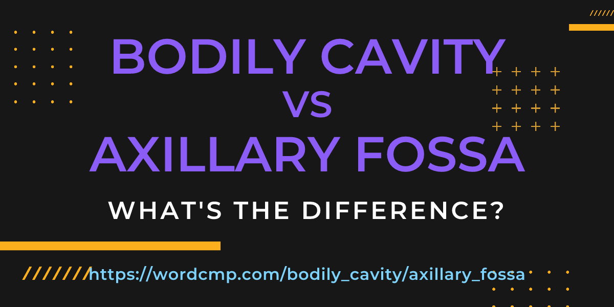 Difference between bodily cavity and axillary fossa