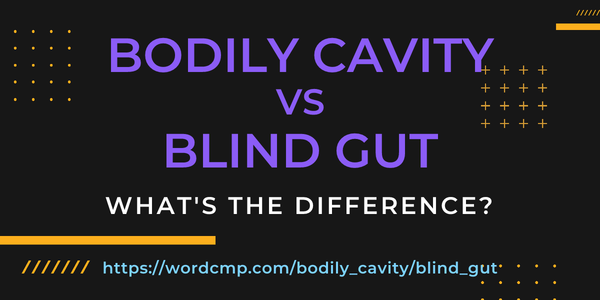 Difference between bodily cavity and blind gut