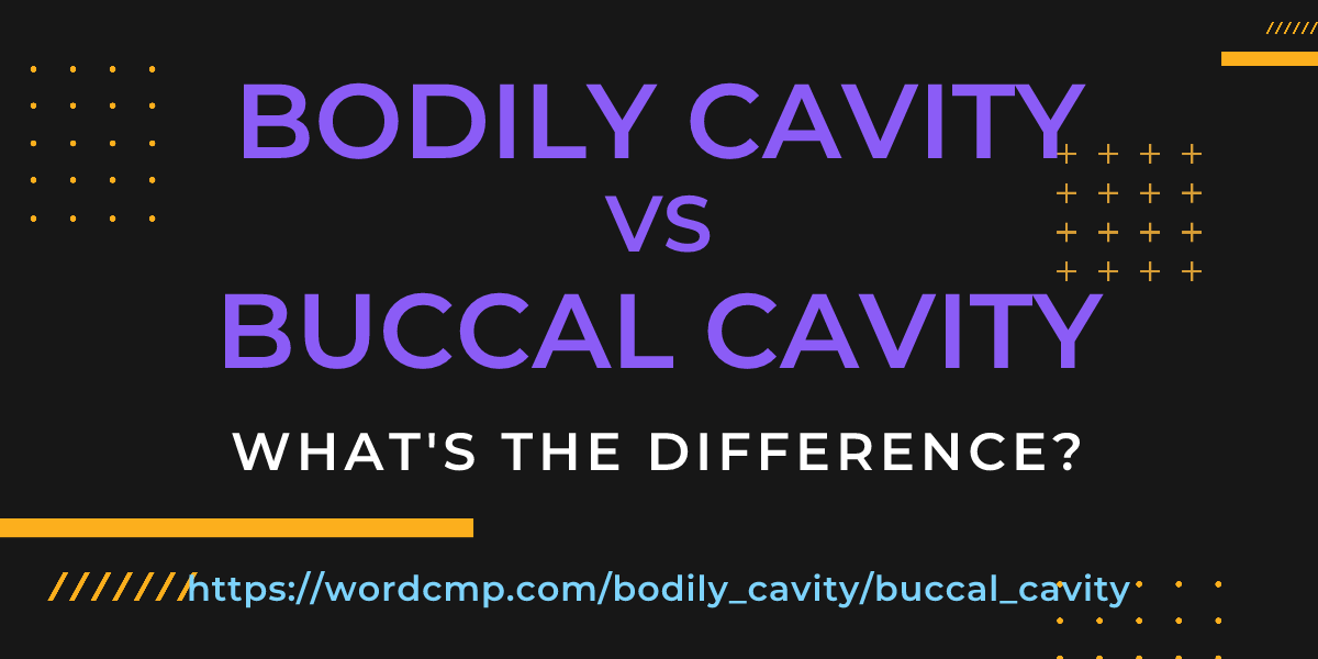 Difference between bodily cavity and buccal cavity