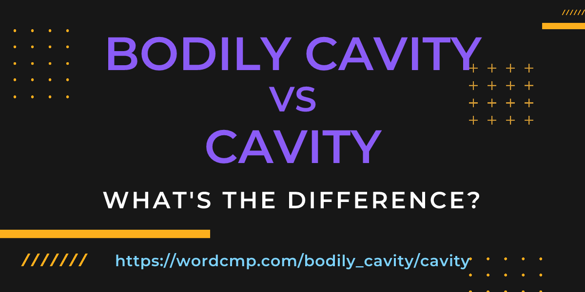 Difference between bodily cavity and cavity