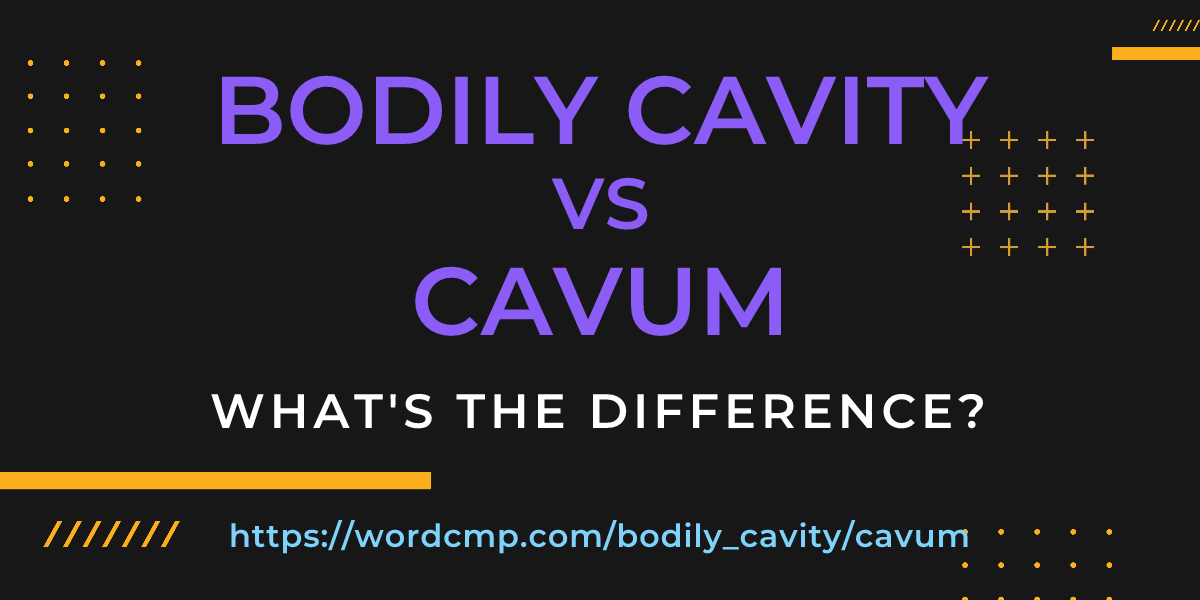 Difference between bodily cavity and cavum