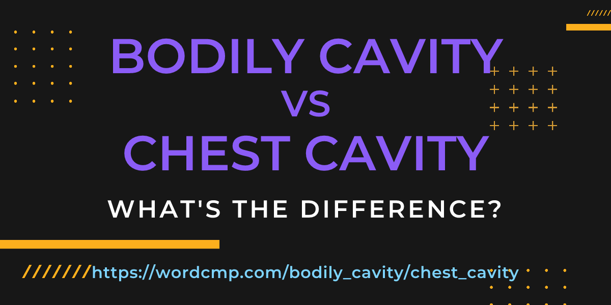 Difference between bodily cavity and chest cavity