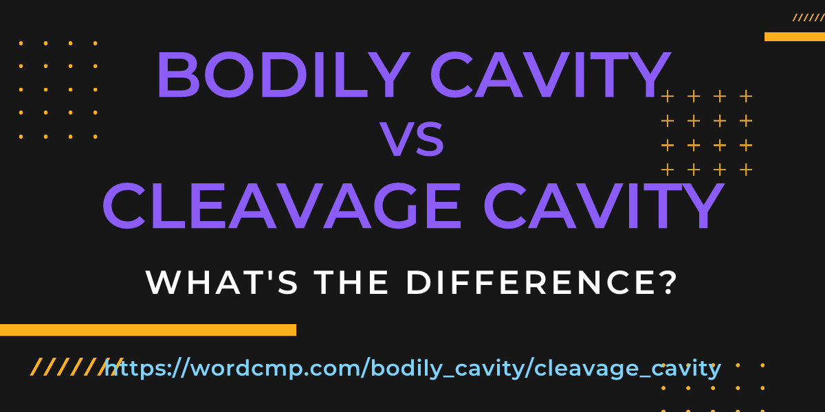 Difference between bodily cavity and cleavage cavity