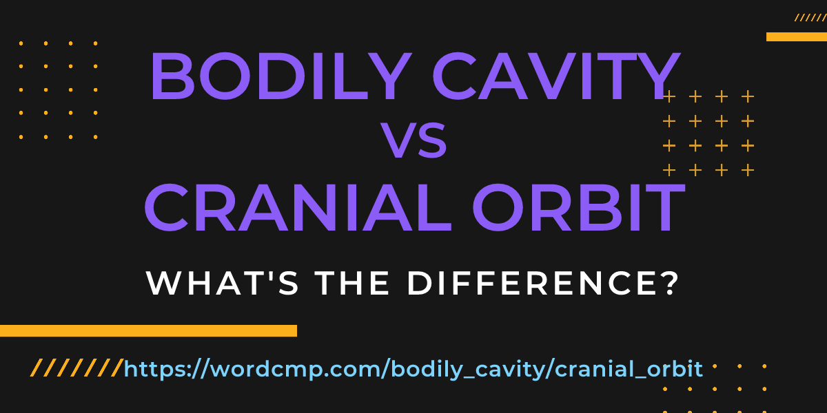 Difference between bodily cavity and cranial orbit