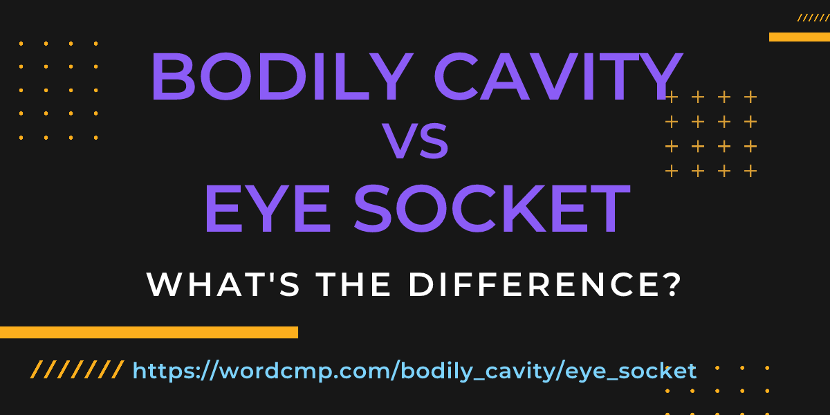 Difference between bodily cavity and eye socket