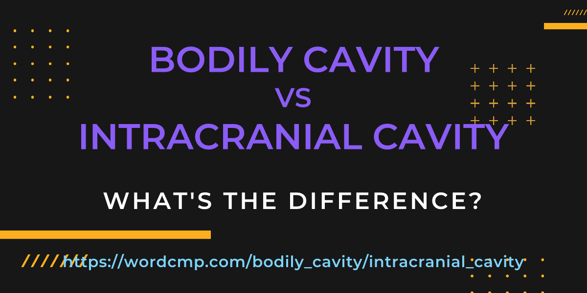 Difference between bodily cavity and intracranial cavity