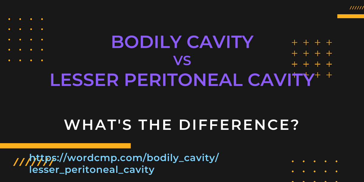Difference between bodily cavity and lesser peritoneal cavity