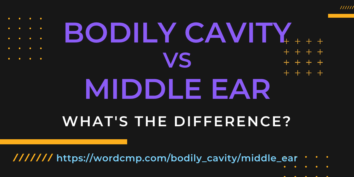 Difference between bodily cavity and middle ear