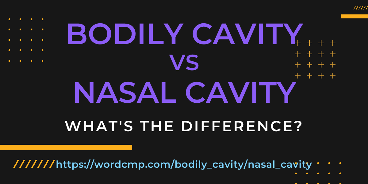 Difference between bodily cavity and nasal cavity
