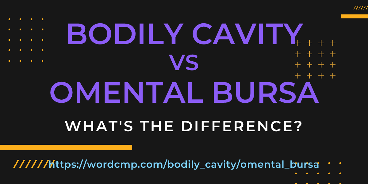 Difference between bodily cavity and omental bursa