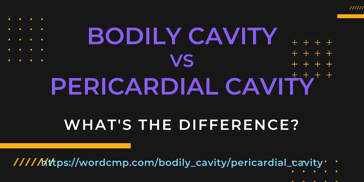 Difference between bodily cavity and pericardial cavity
