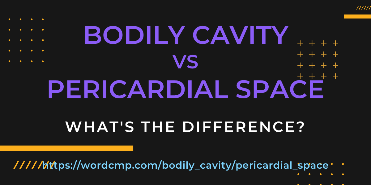 Difference between bodily cavity and pericardial space