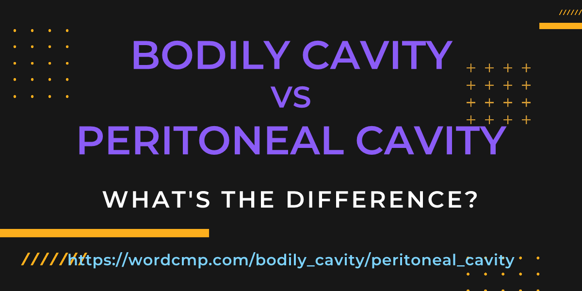 Difference between bodily cavity and peritoneal cavity
