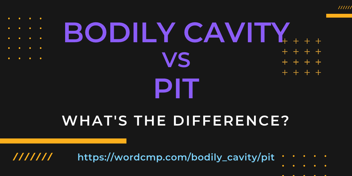 Difference between bodily cavity and pit