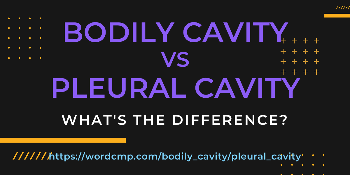 Difference between bodily cavity and pleural cavity