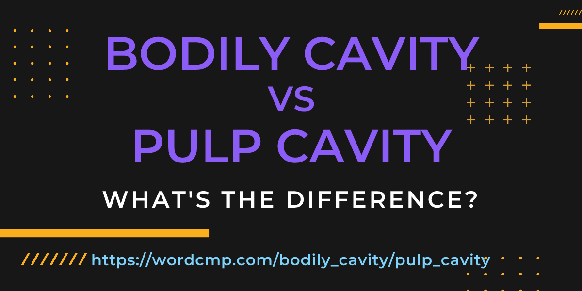 Difference between bodily cavity and pulp cavity