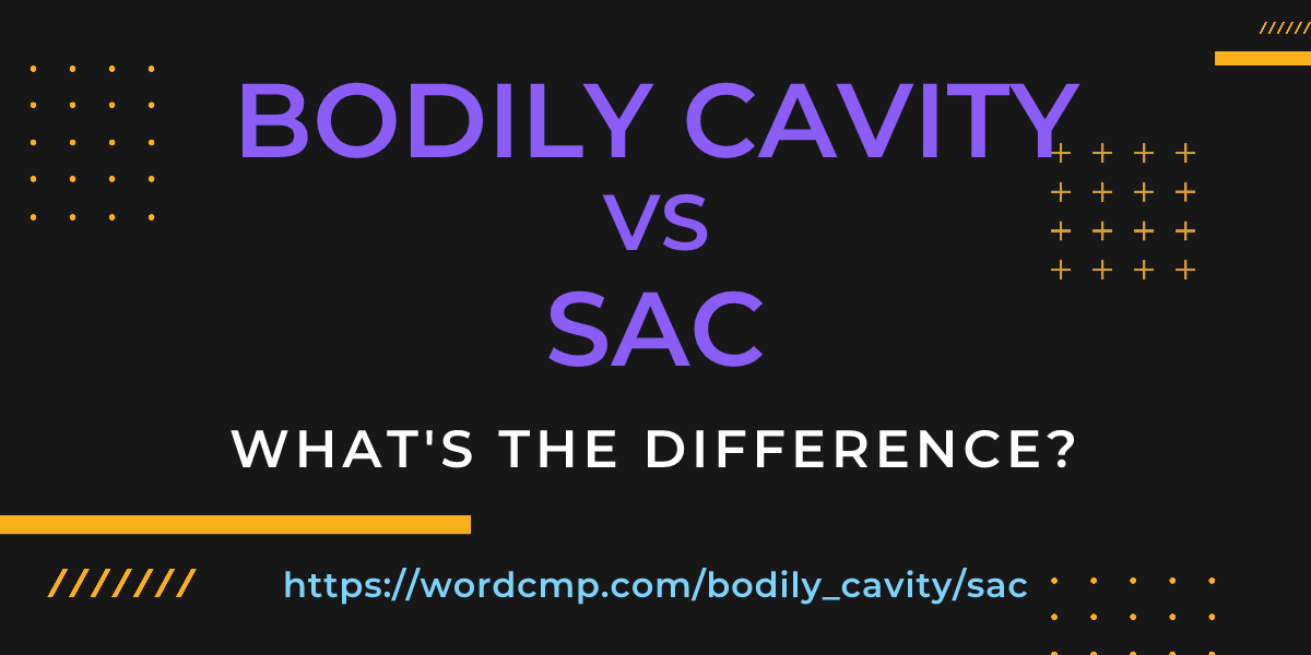 Difference between bodily cavity and sac