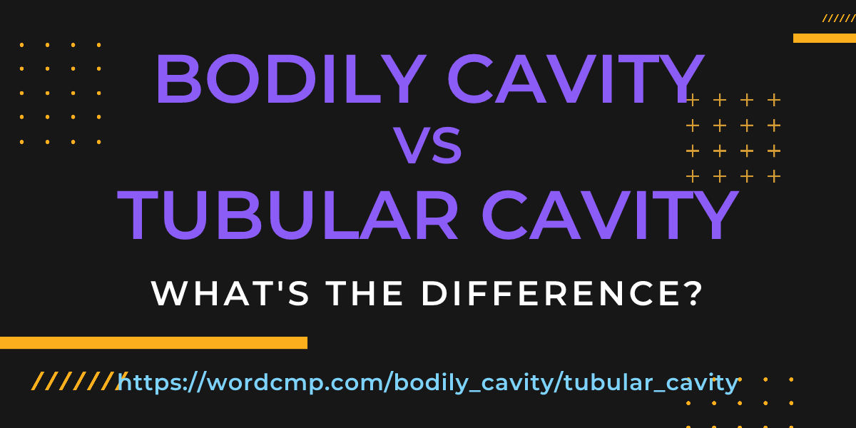 Difference between bodily cavity and tubular cavity