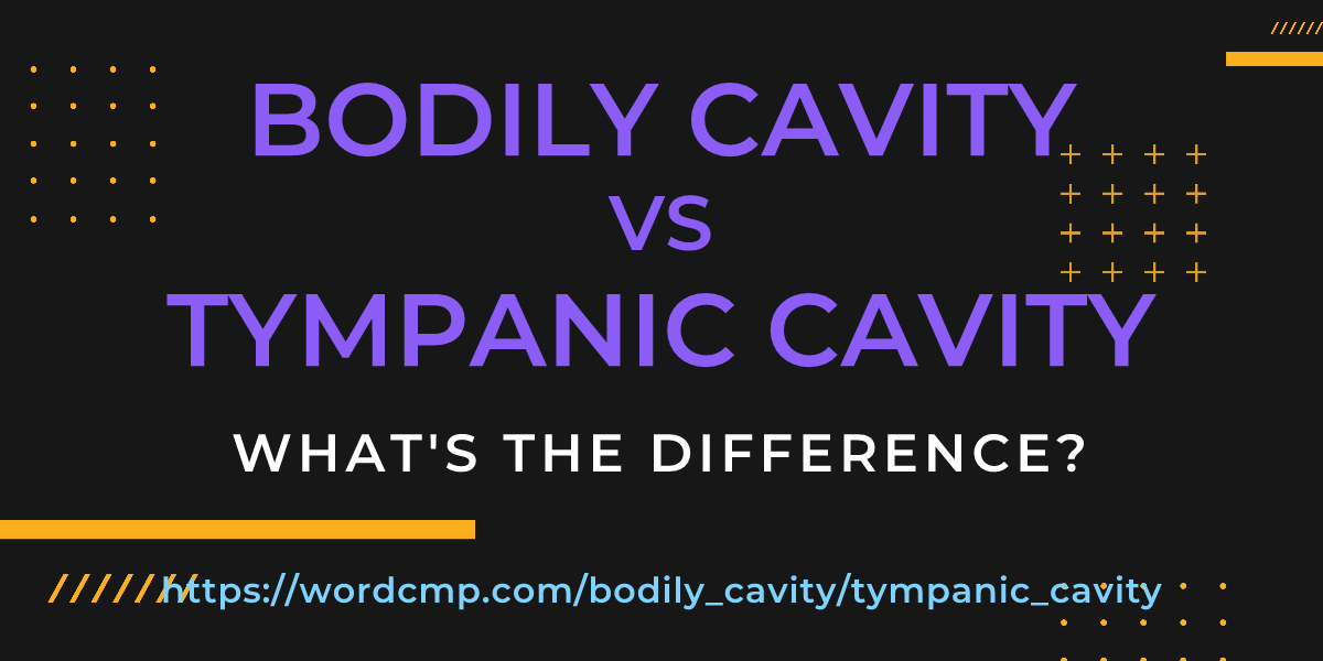 Difference between bodily cavity and tympanic cavity