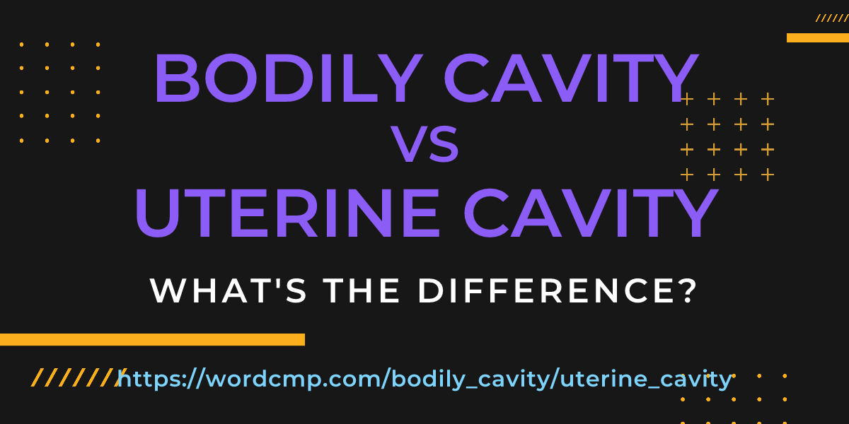 Difference between bodily cavity and uterine cavity