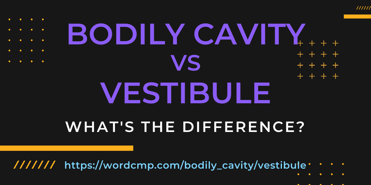 Difference between bodily cavity and vestibule