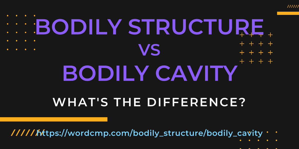 Difference between bodily structure and bodily cavity
