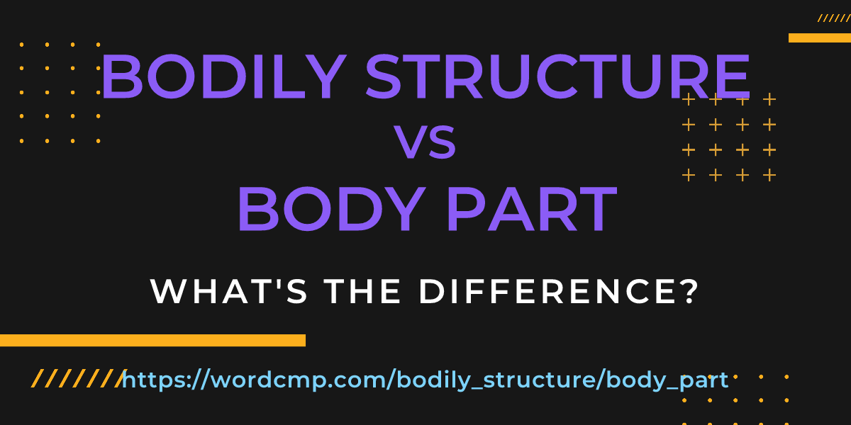Difference between bodily structure and body part