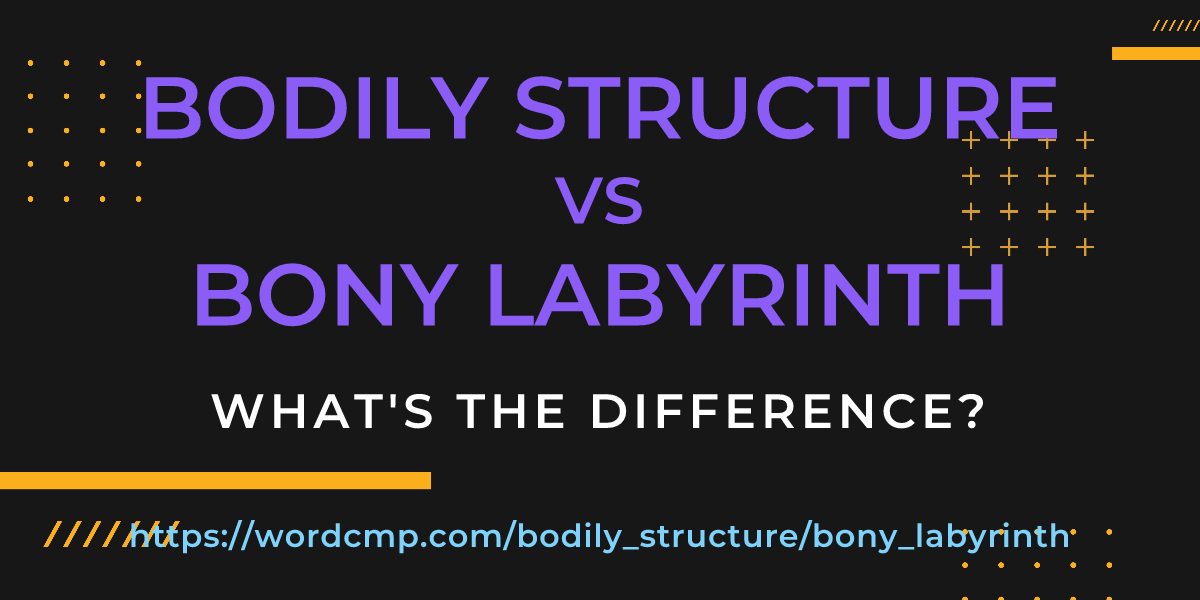 Difference between bodily structure and bony labyrinth