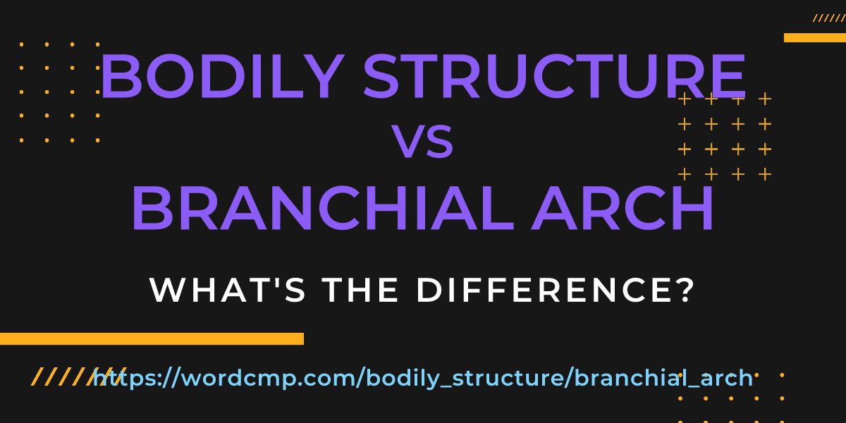 Difference between bodily structure and branchial arch