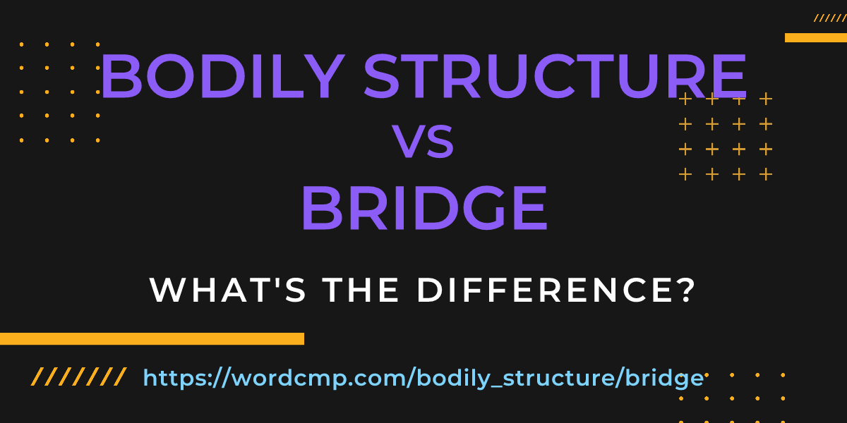 Difference between bodily structure and bridge
