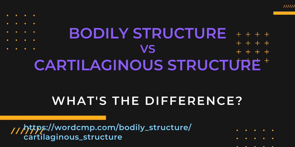 Difference between bodily structure and cartilaginous structure