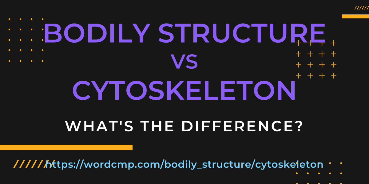Difference between bodily structure and cytoskeleton