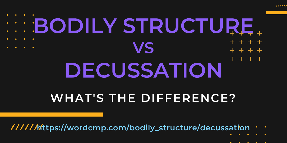 Difference between bodily structure and decussation