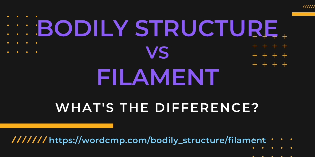 Difference between bodily structure and filament