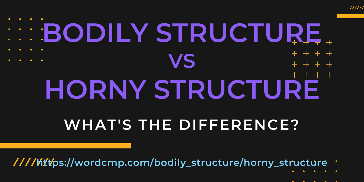 Difference between bodily structure and horny structure