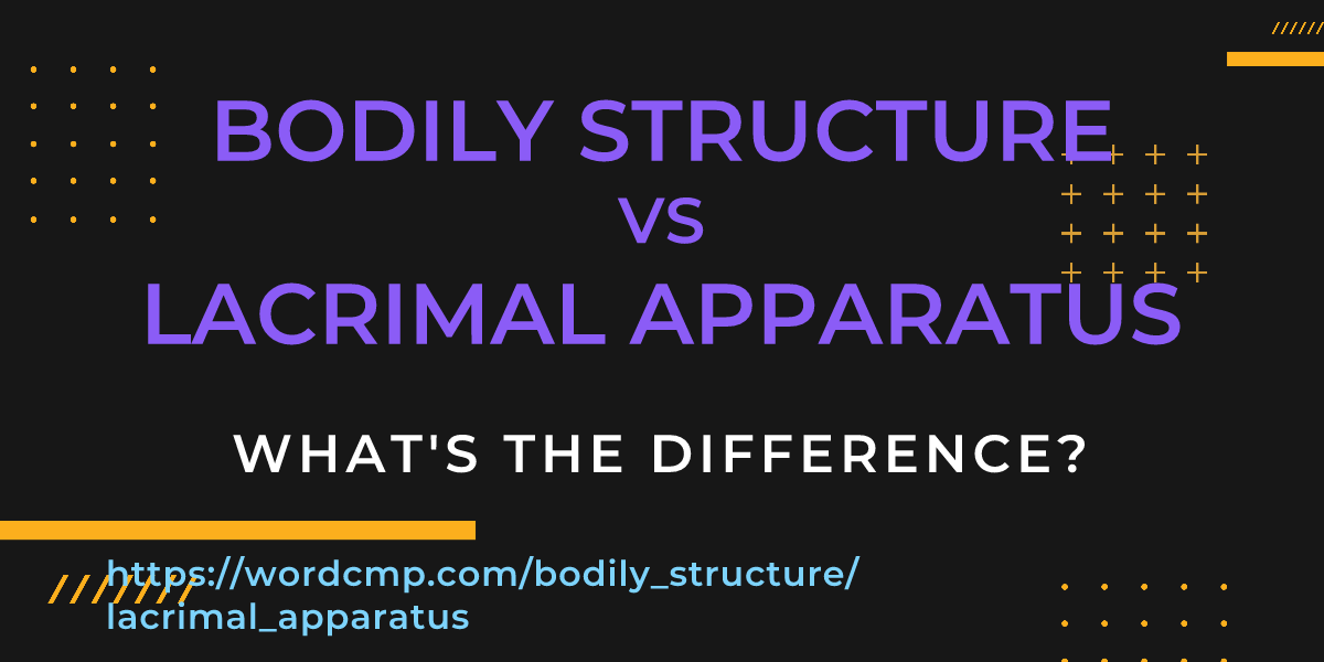 Difference between bodily structure and lacrimal apparatus