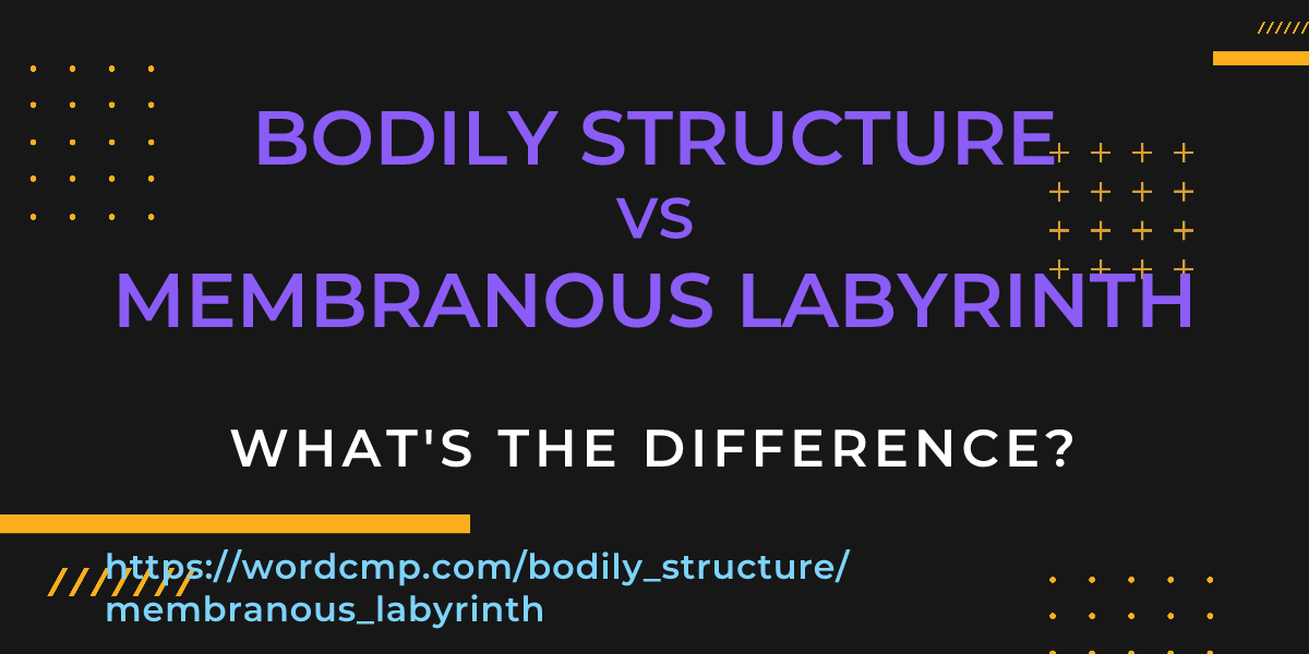 Difference between bodily structure and membranous labyrinth